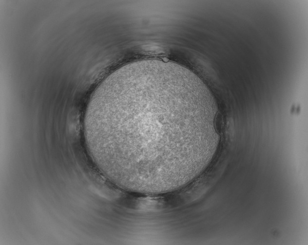 X0000114020320200910231843