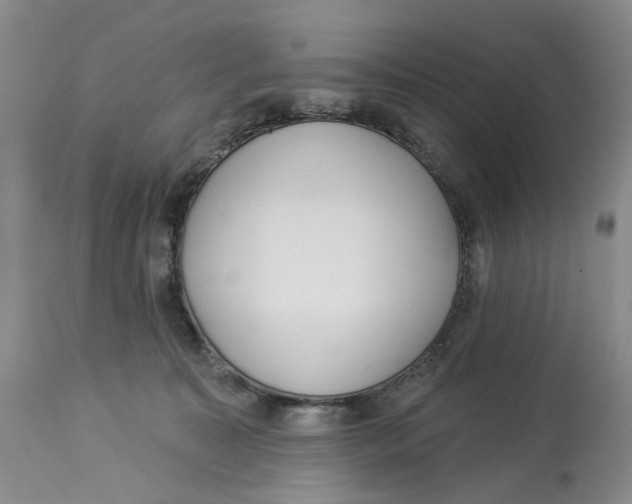 X0000114020323200910231843