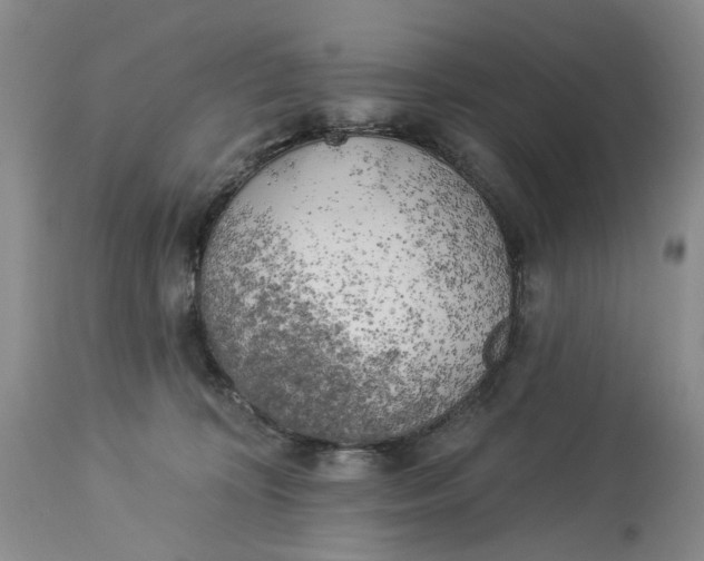 X0000114020324200910231843