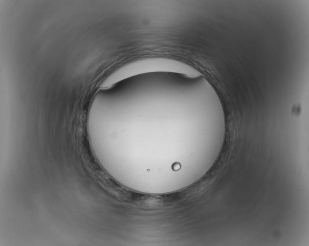 X0000114020325200910231842