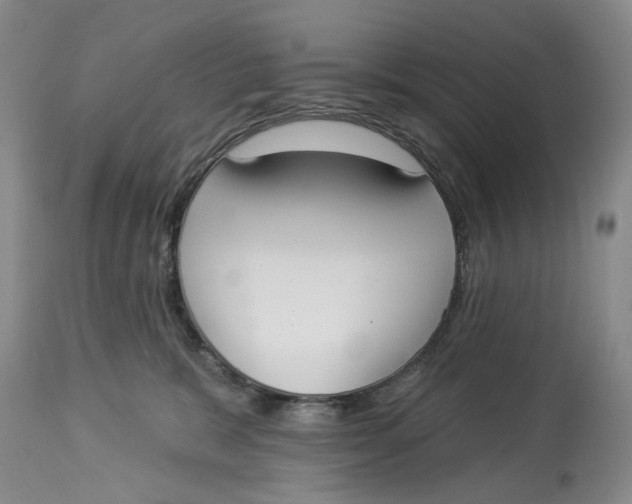 X0000114020327200910231842