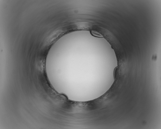 X0000114020329200910231842