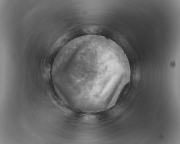 X0000114020332200910231842