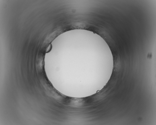 X0000114020334200910231842