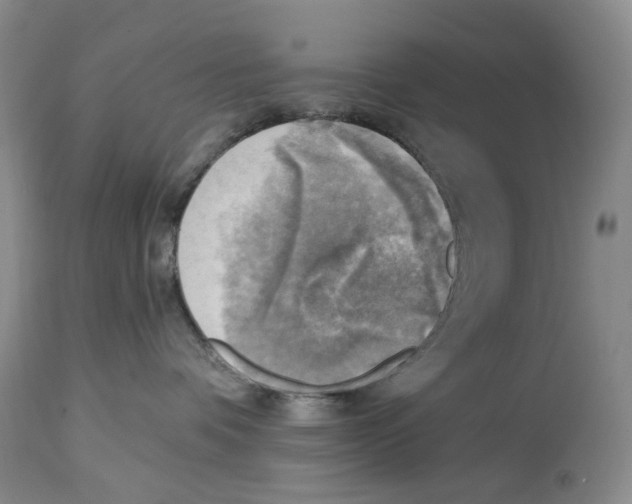 X0000114020336200910231842