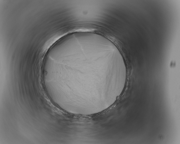 X0000114020337200910231842