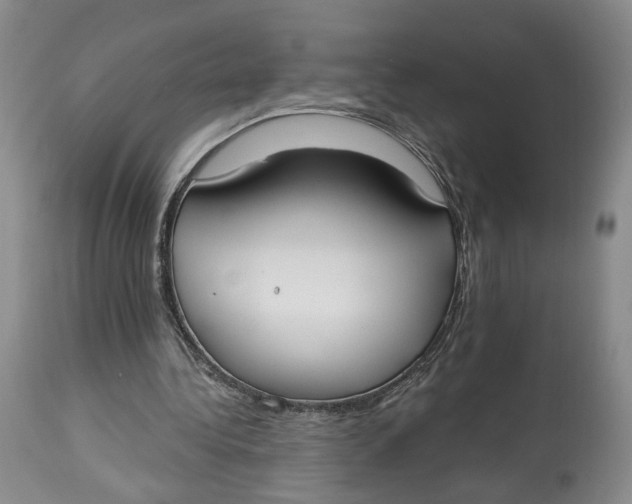 X0000114020340200910231842