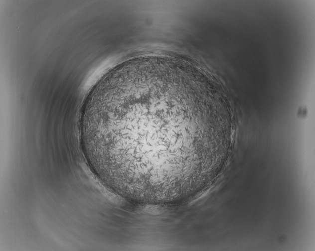 X0000114020341200910231842