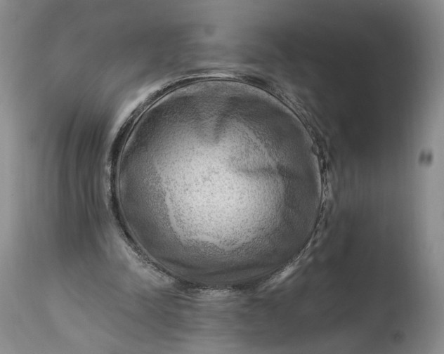 X0000114020342200910231842