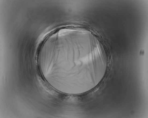 X0000114020343200910231842