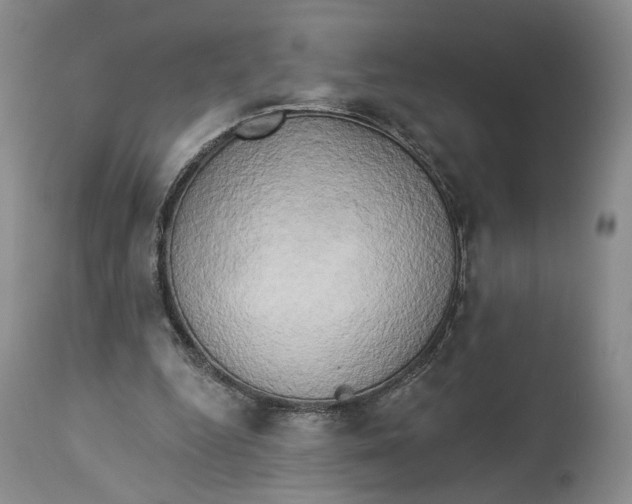 X0000114020344200910231842