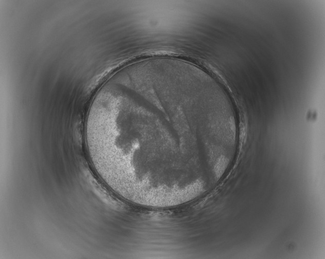 X0000114020345200910231842