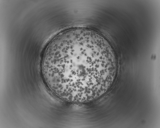 X0000114020346200910231842