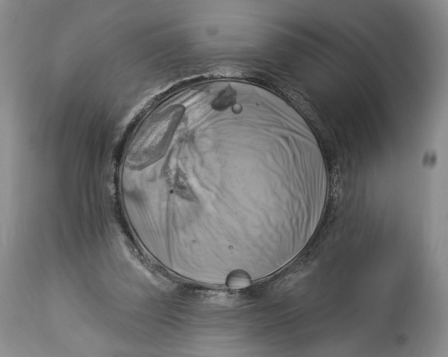 X0000114020347200910231842