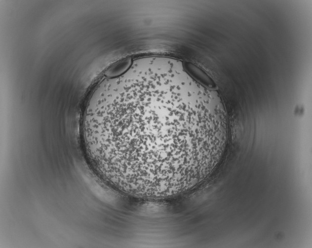 X0000114020350200910231842