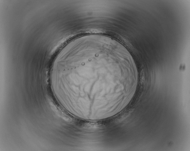 X0000114020351200910231842