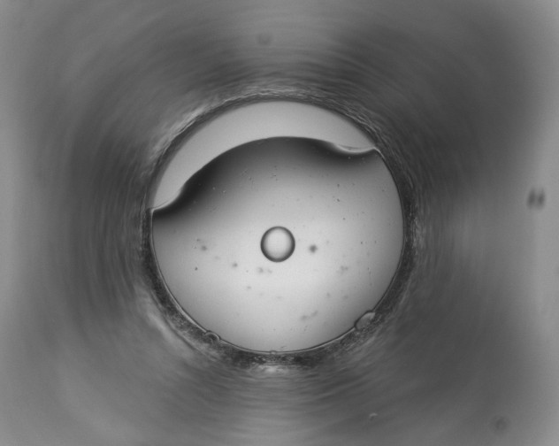 X0000114020352200910231842