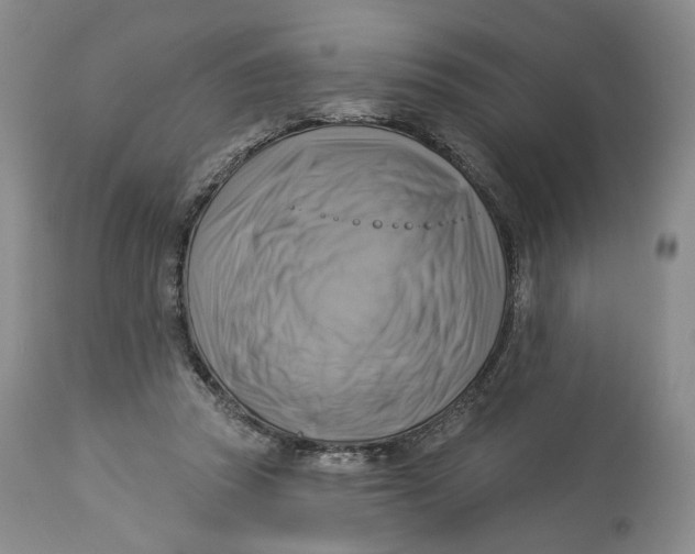 X0000114020353200910231842