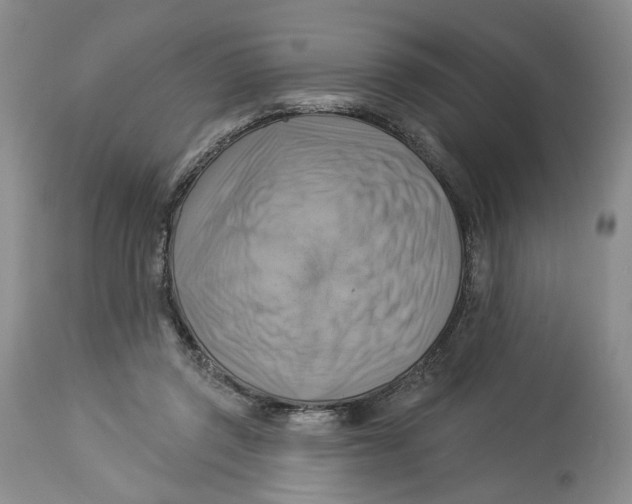 X0000114020357200910231842