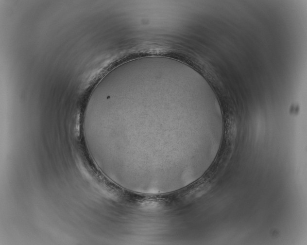 X0000114020358200910231842