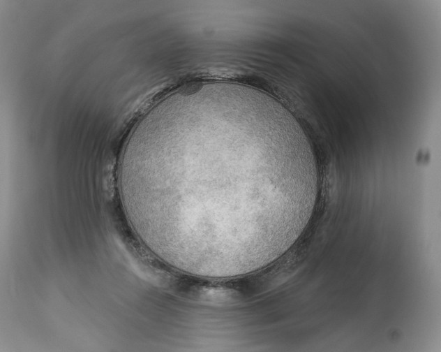 X0000114020360200910231842