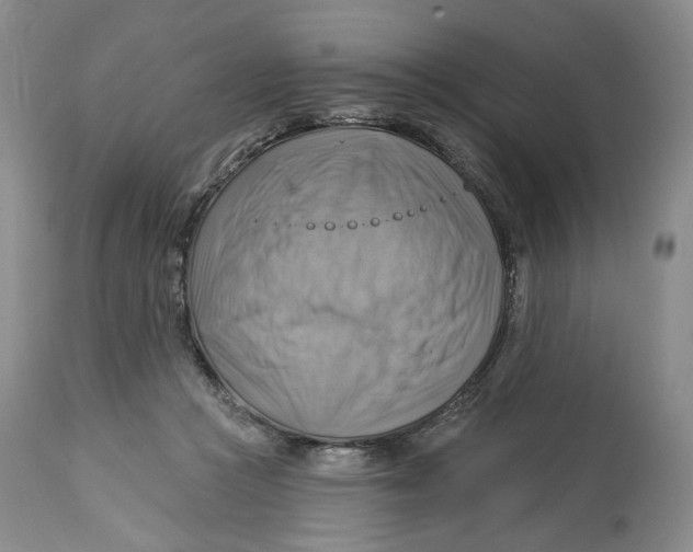 X0000114020361200910231842