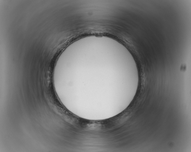 X0000114020362200910231842