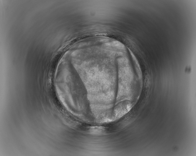 X0000114020363200910231842