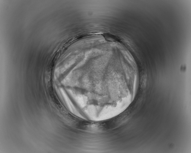 X0000114020365200910231842