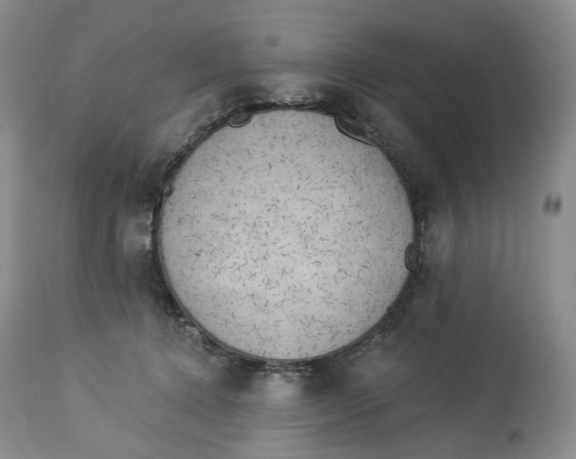 X0000114020368200910231842