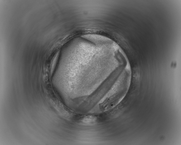 X0000114020369200910231842