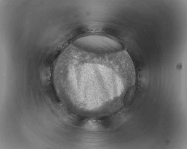 X0000114020372200910231842