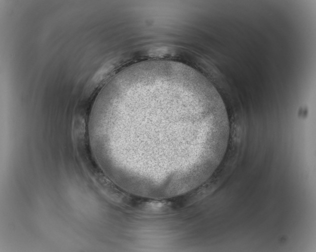 X0000114020375200910231842