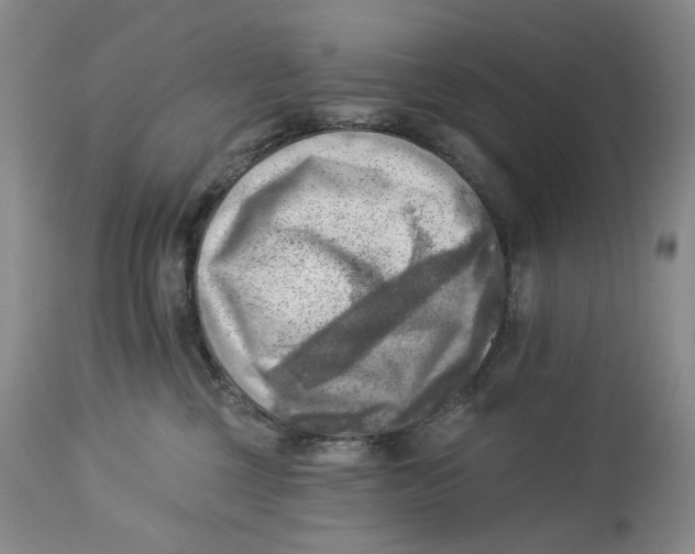 X0000114020377200910231842