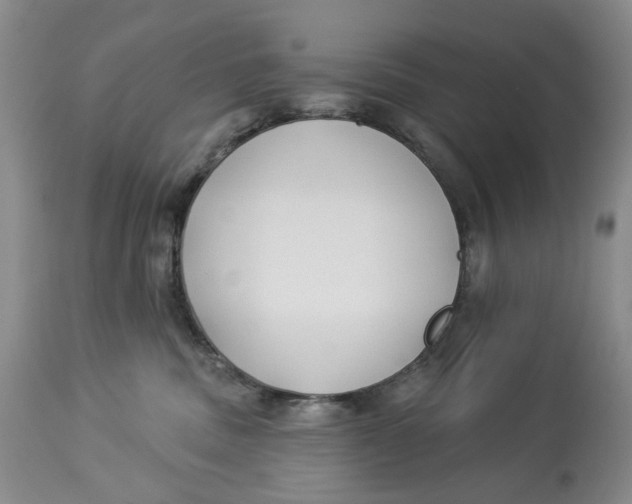 X0000114020379200910231842