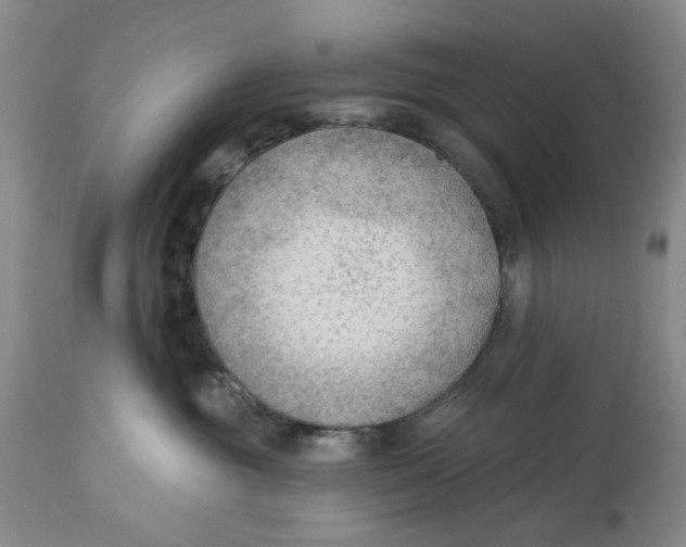 X0000114020381200910231842