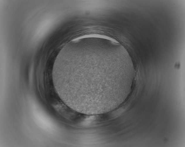 X0000114020382200910231842