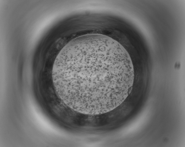 X0000114020383200910231842