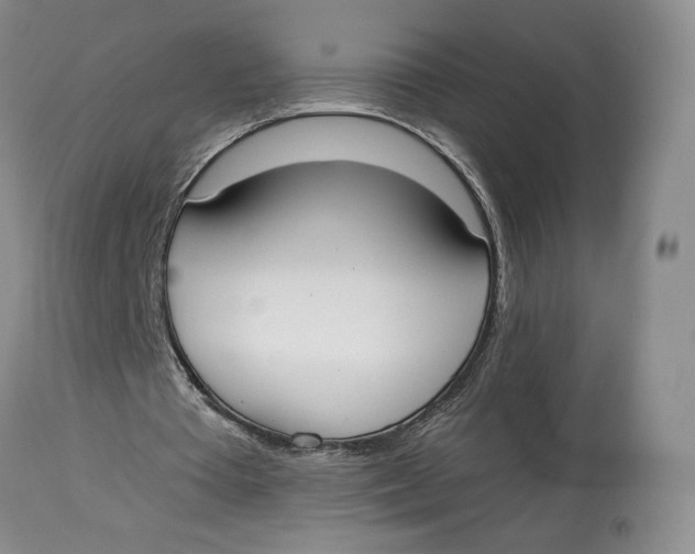 X0000114020385200910231842