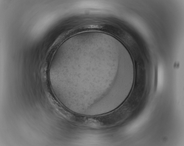 X0000114020387200910231842