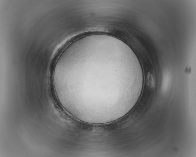 X0000114020388200910231842