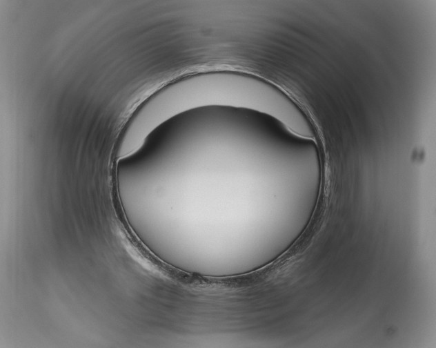 X0000114020389200910231842