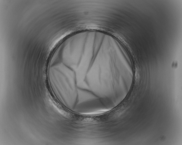 X0000114020390200910231842