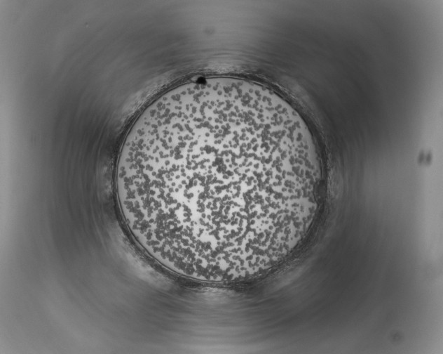 X0000114020393200910231842