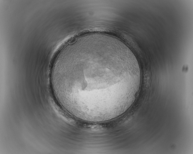 X0000114020395200910231842