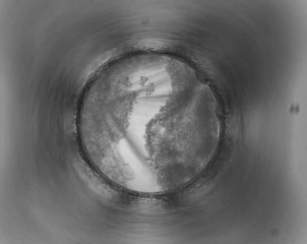 X0000114020399200910231841