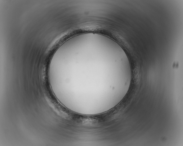 X0000114020400200910231841