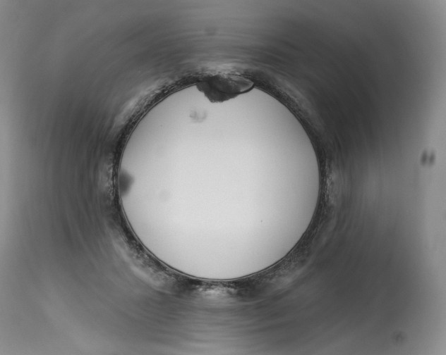 X0000114020407200910231841