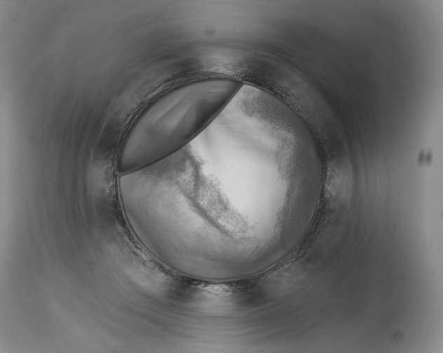 X0000114020409200910231841