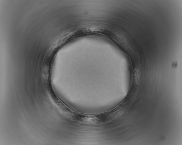 X0000114020410200910231841